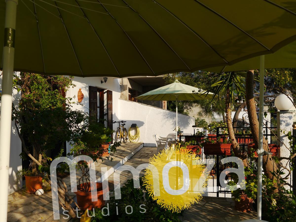 Mimoza Studios Skiathos Exterior photo