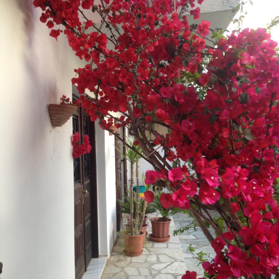 Mimoza Studios Skiathos Exterior photo